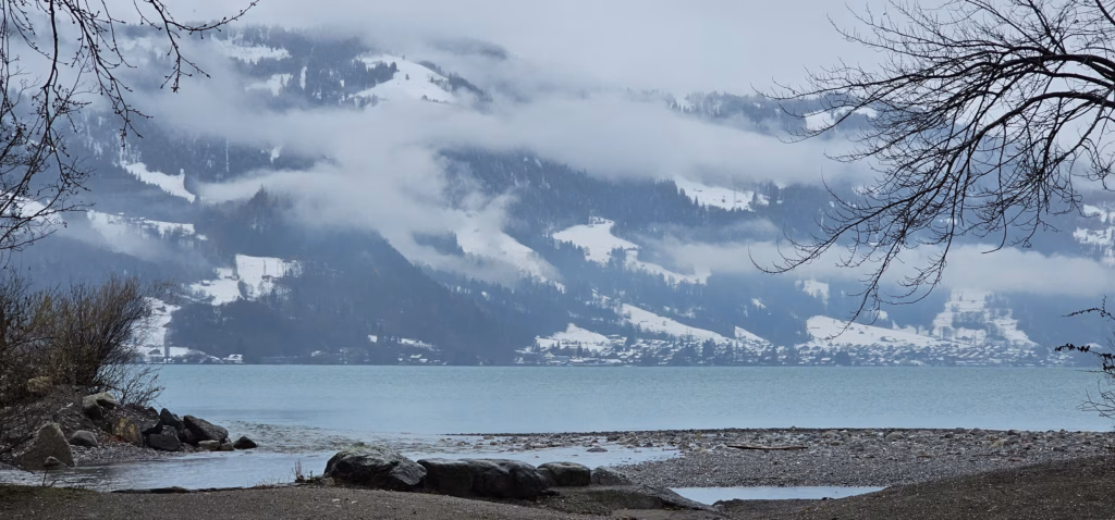 Snow-streaked mountain slopes across a calm Lake Thun framed by bare overhanging branches from the pebble shore