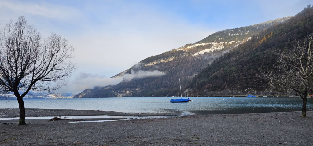 A calm Lake Thun shore on a winter morning with a single moored boat below a forested mountain