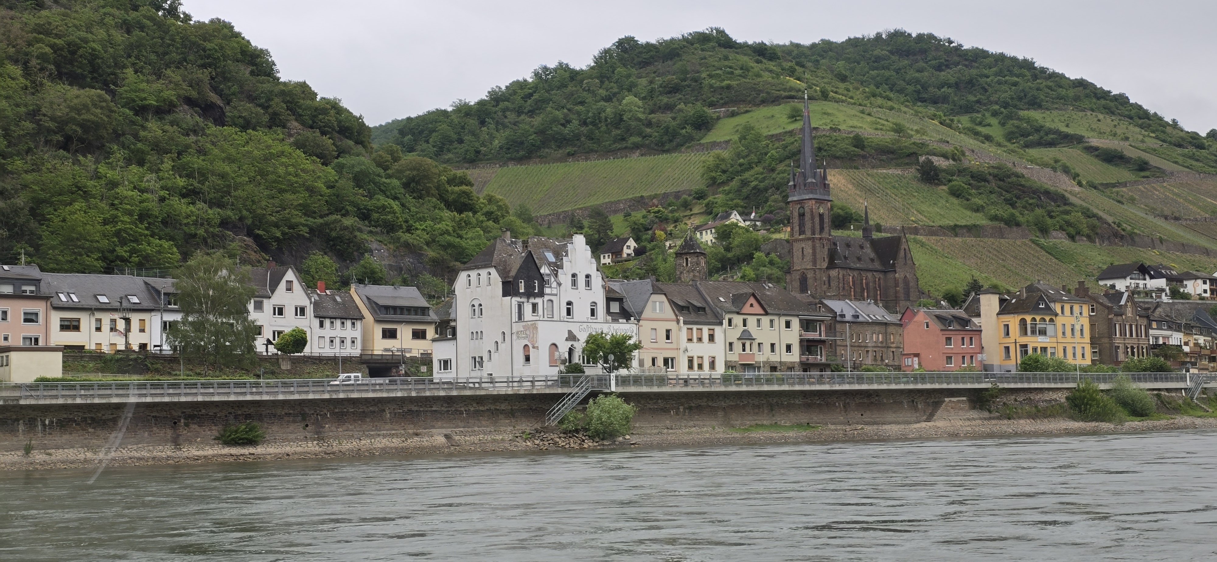 A Rhine-side town with a church tower and terraced vineyards on the ridge above, seen from the cruise boat between Kaub and Bacharach