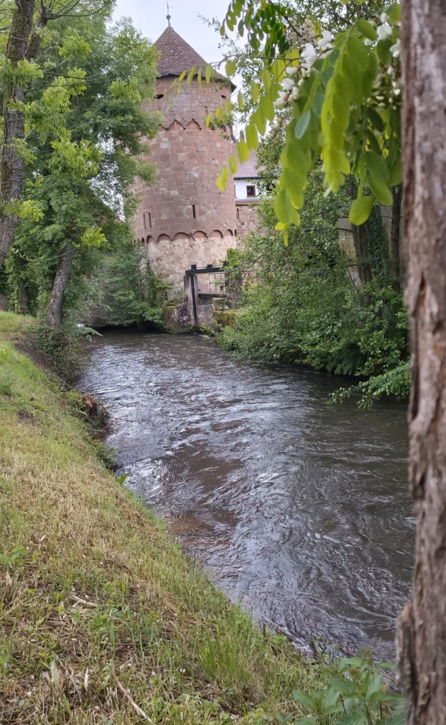 The Hausgenossenturm tower of the Wissembourg ramparts rising above the Lauter river in early morning light, framed by trees on both banks, river flowing past the tower base