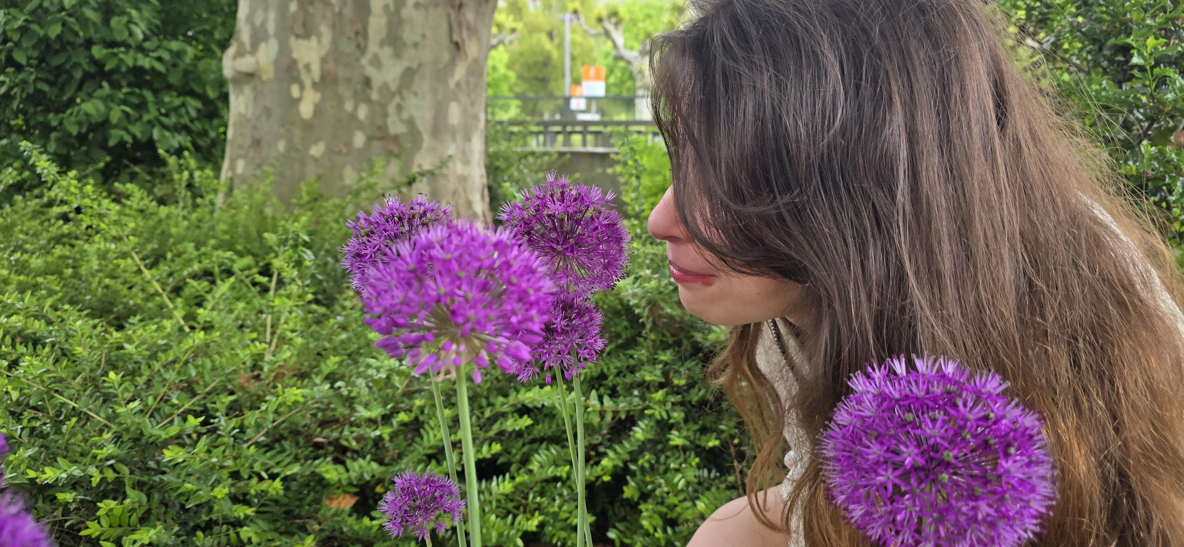 Samira at the Kulturufer allium garden in Bingen on a May morning