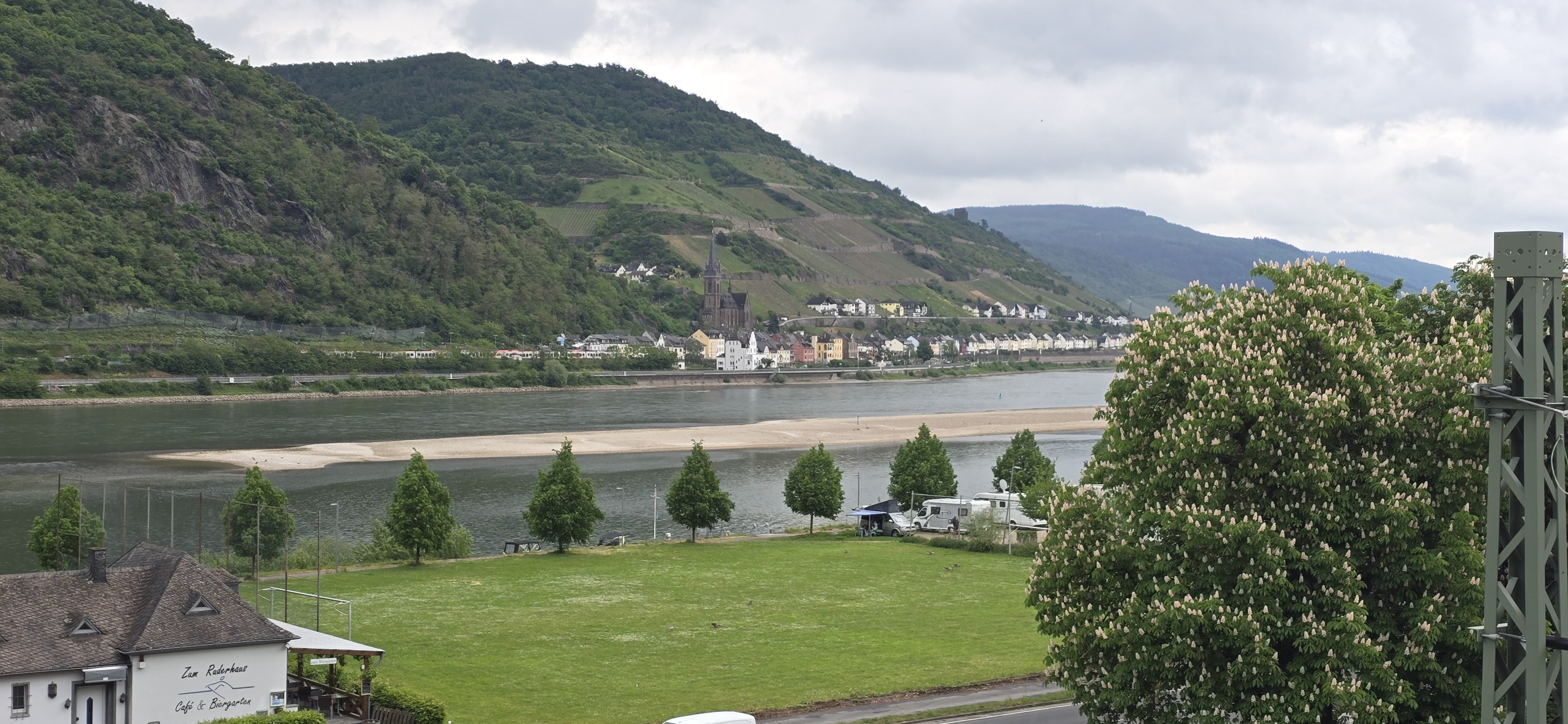 Bacharach station departure platform, Oberwesel church tower visible across the Rhine at low tide, chestnut tree in bloom on the right bank