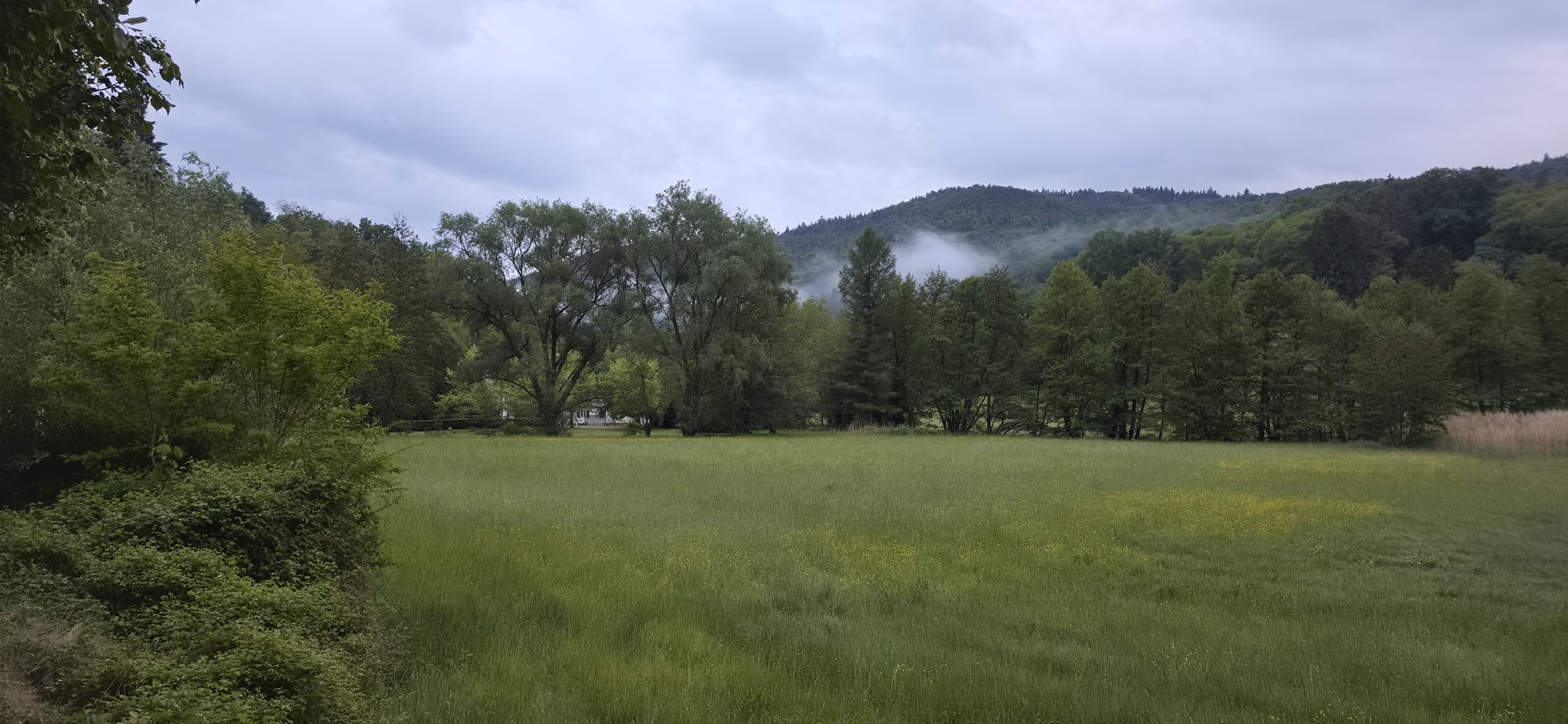 Mist on the meadow below the Wasgau ridge in dawn light on the approach to Sankt Germanshof