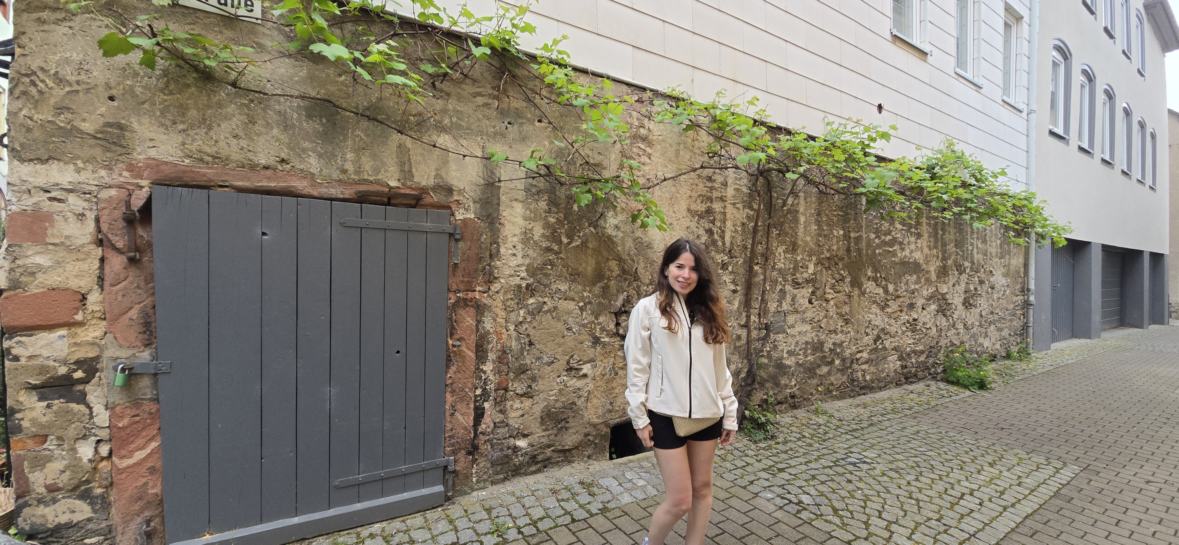 Narrow cobblestone back-alley in St. Goar Altstadt with grapevines on the stone walls