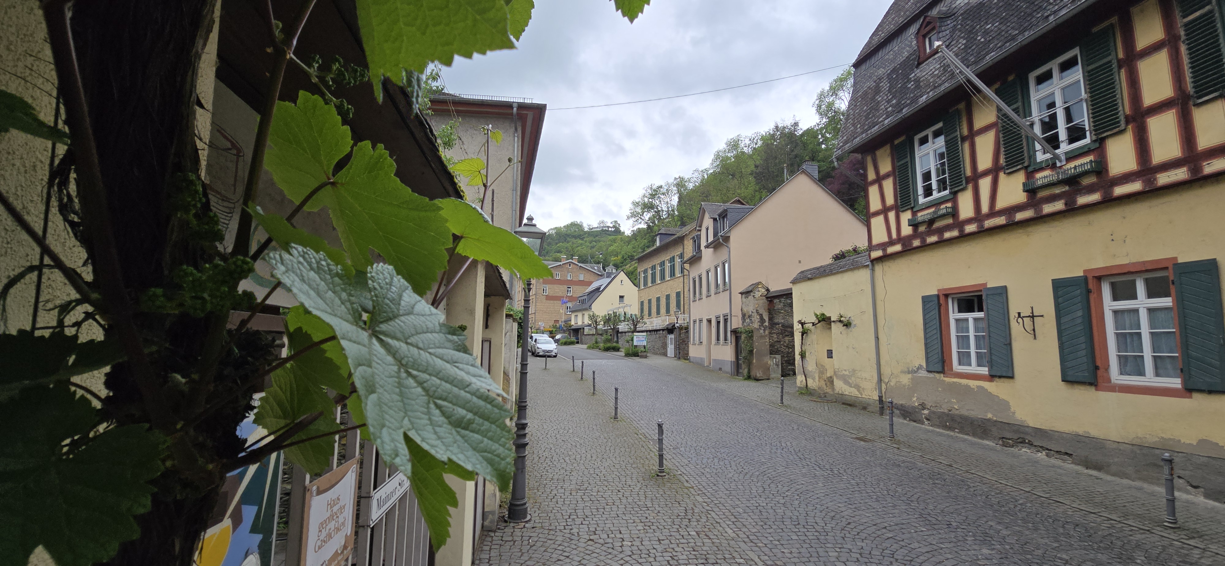 Altstadt side street in Bacharach with grapevine leaves in the foreground and half-timbered facades on both sides