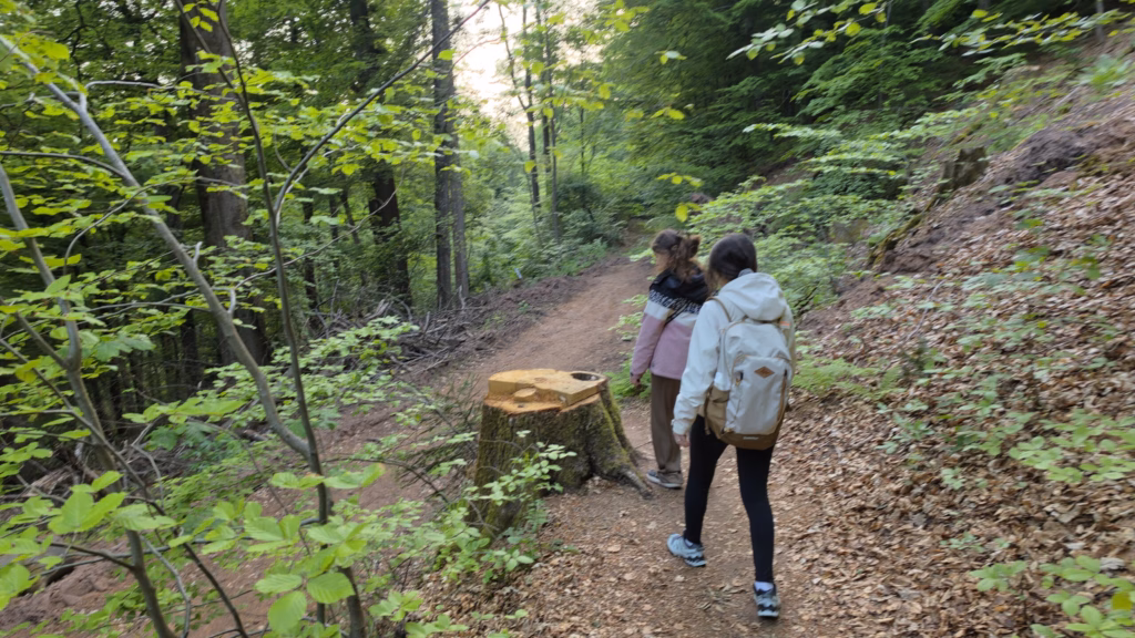 Family hiking the wooded Pfaelzerwald slope with packs on the way to the ruin