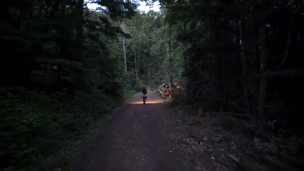 Empty gravel pull-off and wooden bench near the Wegelnburg ridge trailhead outside Nothweiler in predawn blue hour