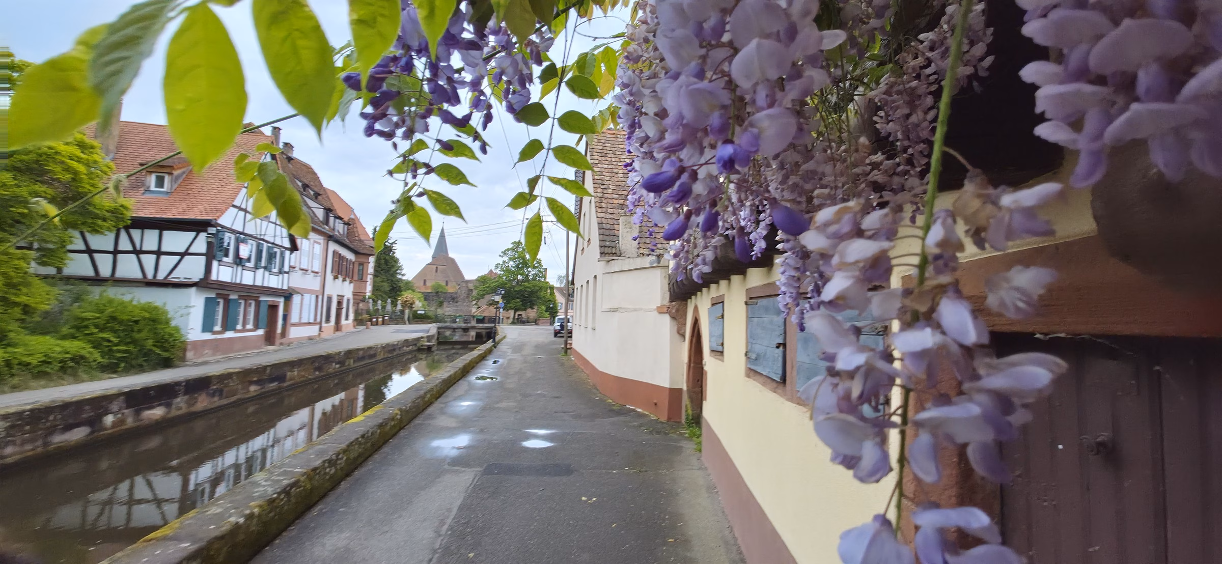 Wissembourg Daniel Rebert Day Trip: Pastry and 1870 Battlefield